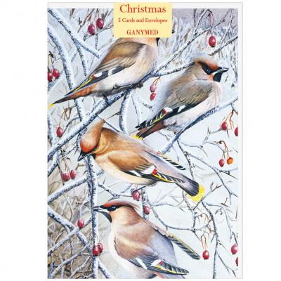 John Benger - Waxwings - 739988259307